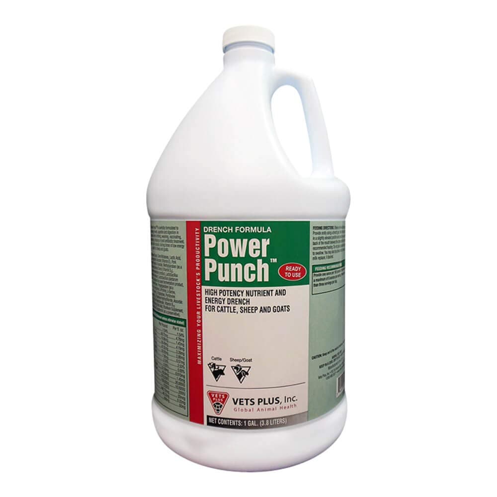 Vets Plus Power Punch, Energy Drench, Gallon