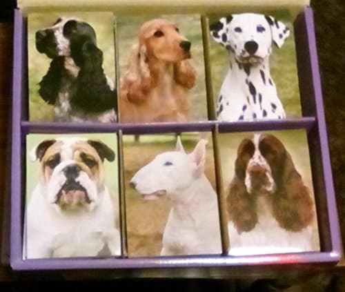 ENGLISH BULL TERRIER FRIDGE MAGNET NOTEPAD