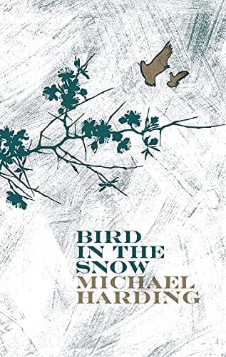 Bird In The Snow Paperback – October 28, 2008