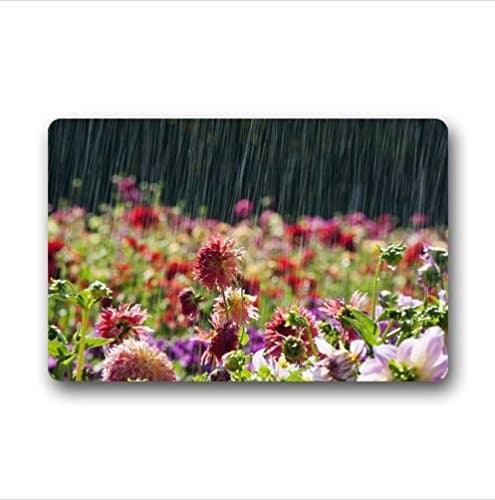 Personalized romantic rainy day view,beautiful raindrops pattern Entrance Mat,Indoor/Outdoor Doormat,Door Mats 23.6''(L) x 15.7''(W)