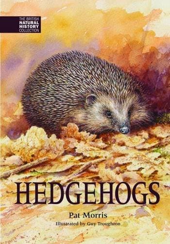 Hedgehogs: 4 (The British Natural History Collection)