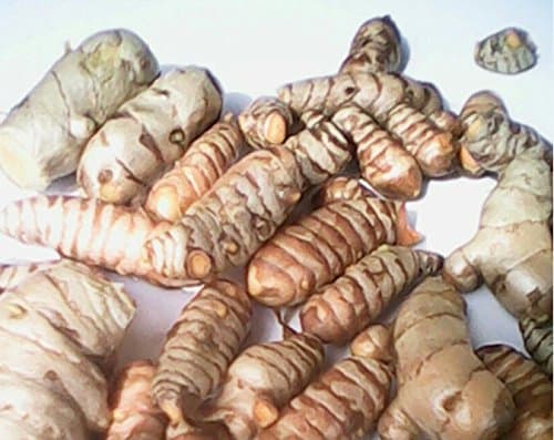 Turmeric Roots 200g