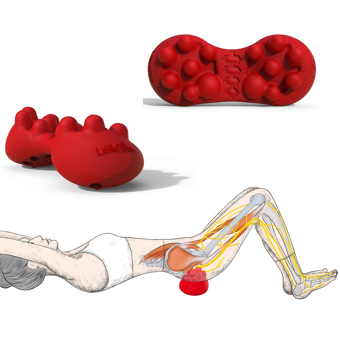 Back Trigger Points Massage for Gluteus & Piriformis Myofascial Release, Rhomboid Deep Tissue, Latissimus Dorsi Acupressure - Relieves Back, Hips, Sciatica Pain