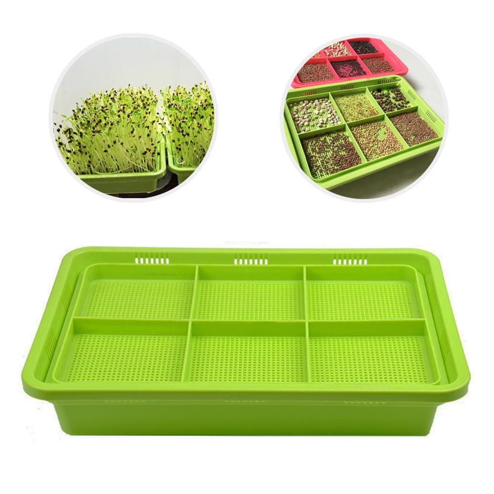 Sprout Tray 6-Cell Double-layer Extra Thick Soil-Free Healthy Wheatgrass Grower Seed Sprouter 12.6x8.7inch (Green)