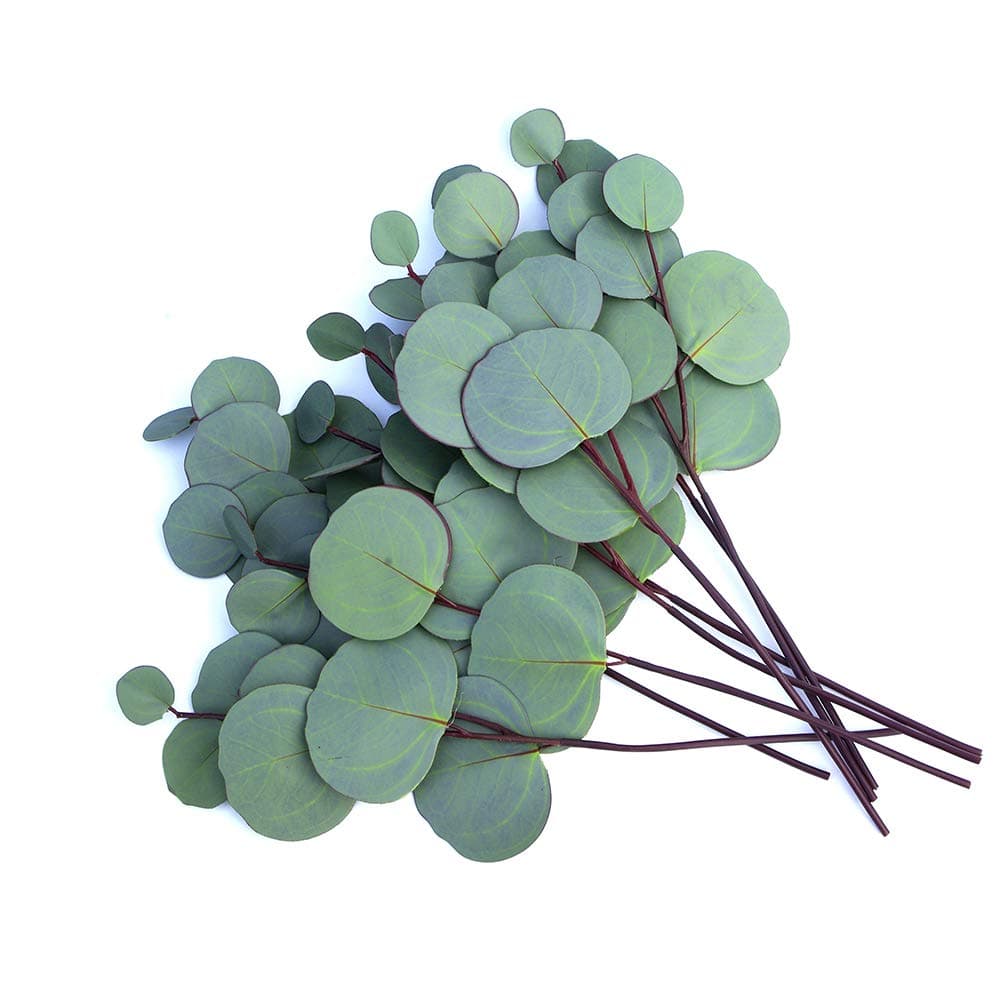 Faux Silver Dollar Eucalyptus | 8 Stems | Artificial Classic Silk Greenery Leaves for Floral Arrangement