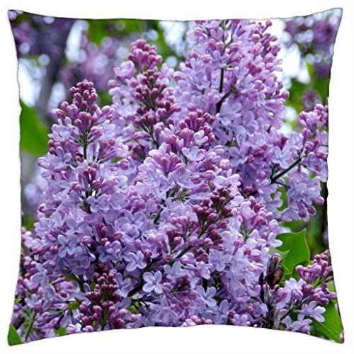 iPhone 6 Case,Retro Classic Paris Eiffel Tower Design Pattern Gel Silicone Soft Case Cover Skin For Apple iPhone 6 4.7 inch With a Free Cleaning Cloth As a Gift by Tory