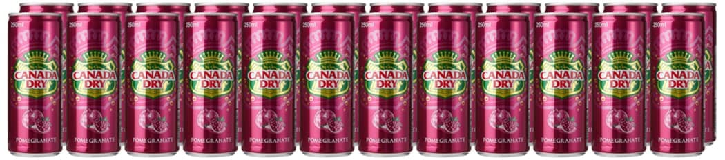 Canada Dry Pomegranate Can 24-Pieces 250 ml