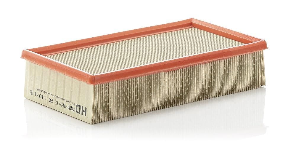 Mann+Hummel Air Filter - C261101