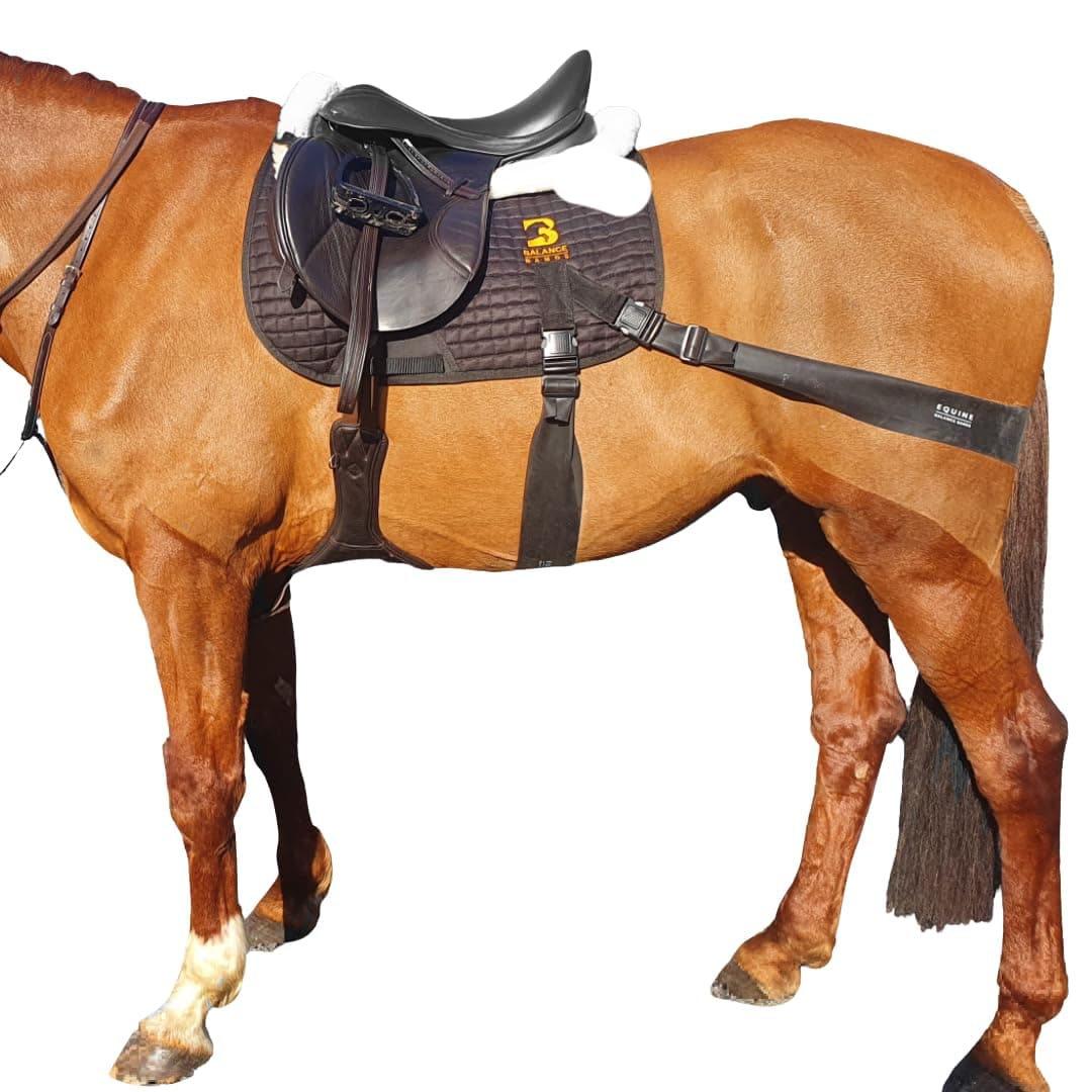 Equine Band System - Core Training Aid for Horses. Saddle Pad and Equibands System by Equine Balance Bands (All Purpose)