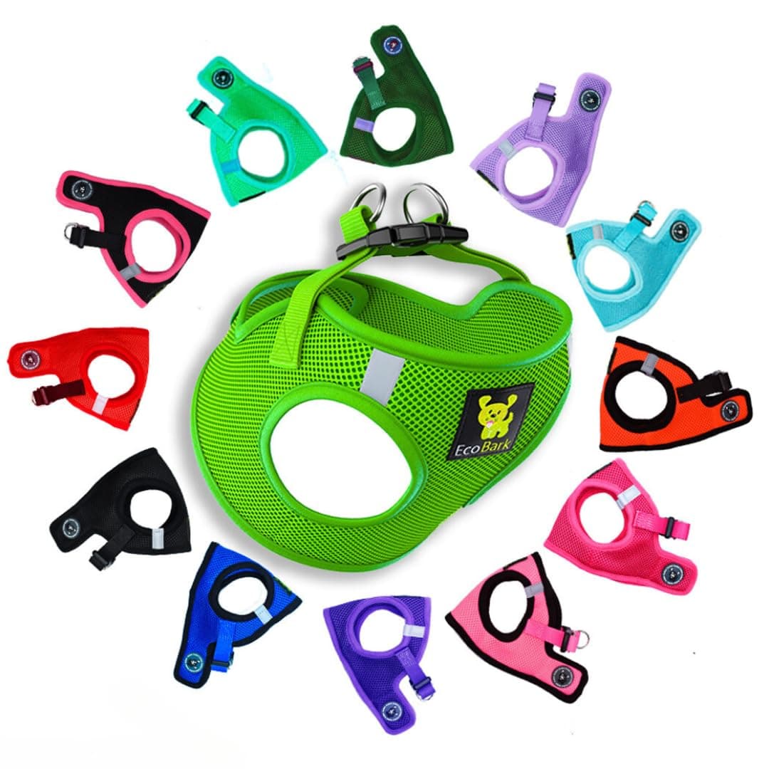 EcoBark Rapid Fastener Super Comfort Fully Adjustable Double Padded Step in Dog Harness (XXS, Green)