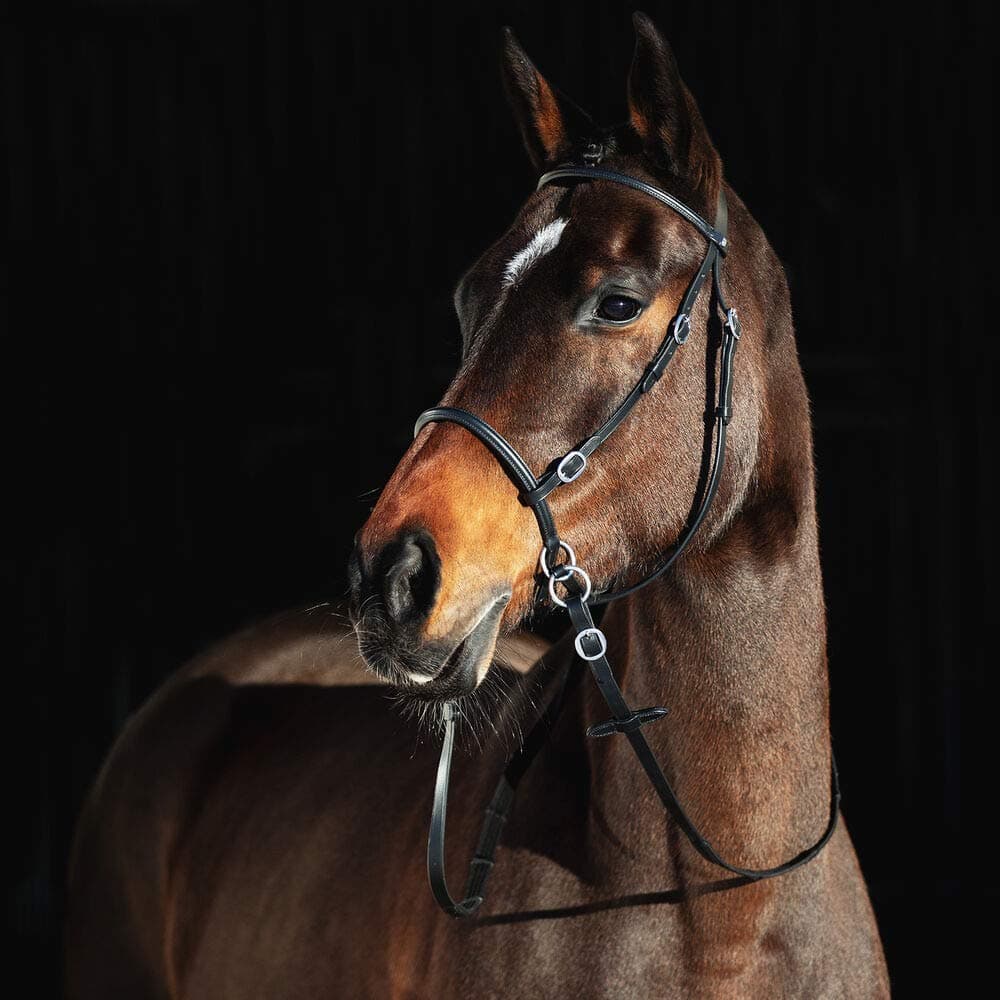 HORZE Genuine Leather Cross-Under Bitless Bridle | Includes Web Reins with Hand Stops