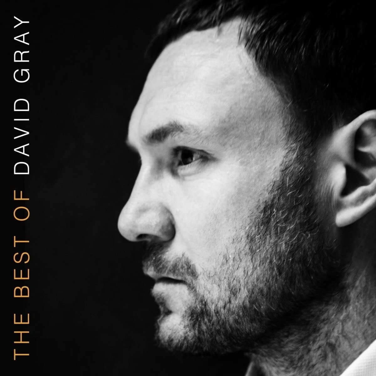 THE BEST OF DAVID GRAY