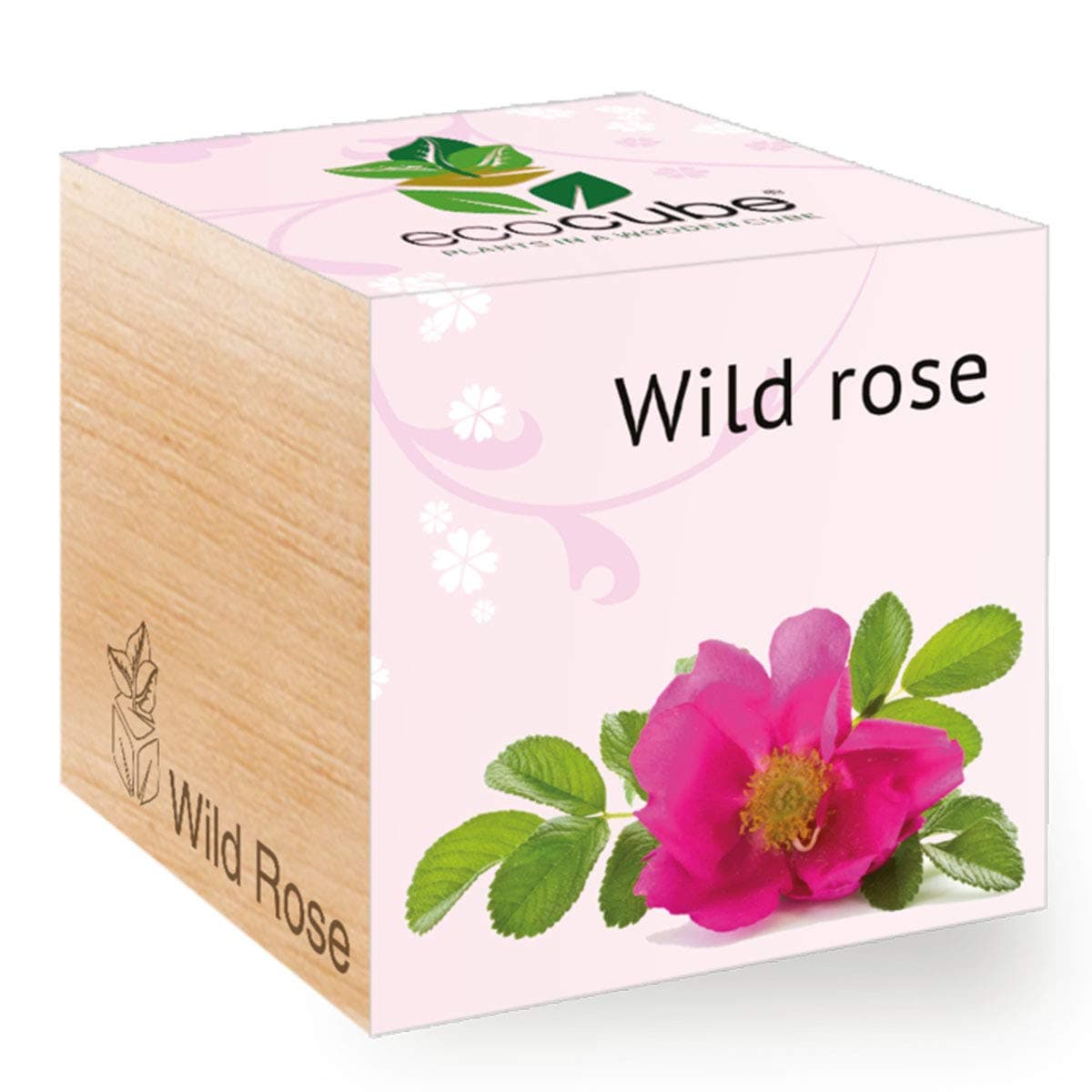 Wild Rose in Wooden Dice