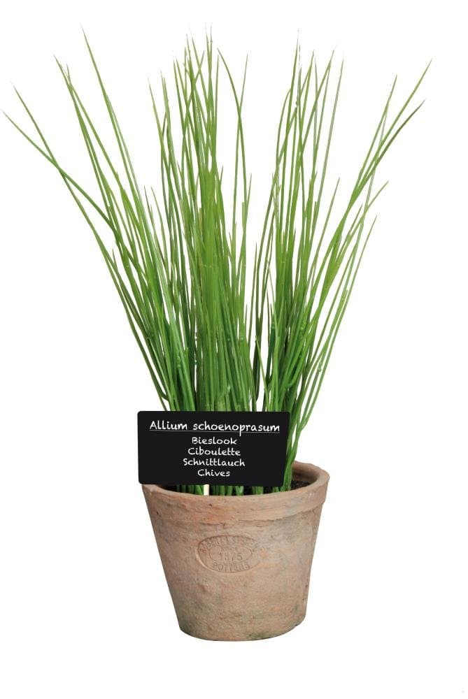 Esschert Design Artificial Herb Plant, Chives, Large