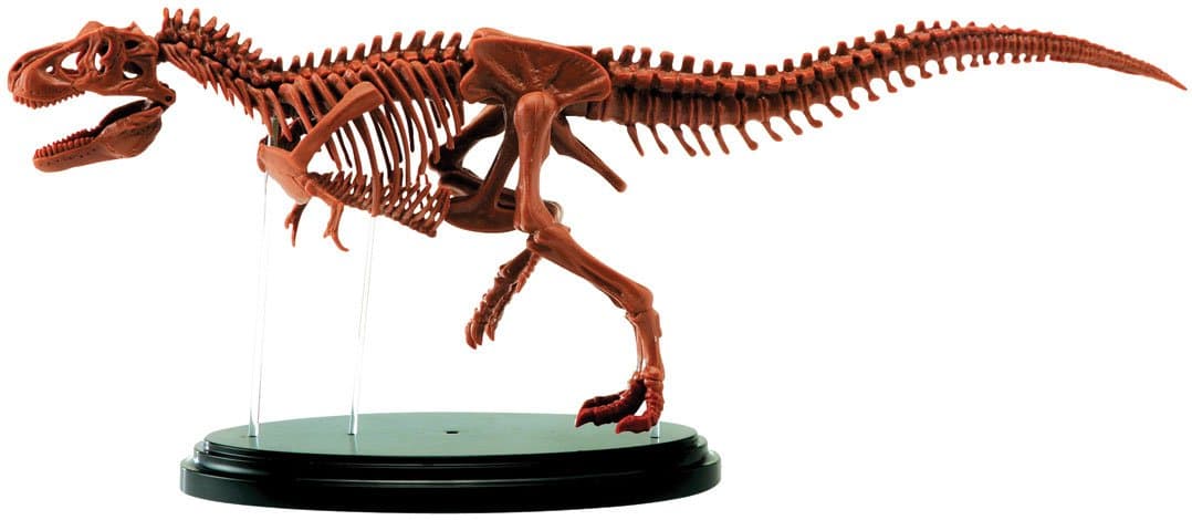 Elenco Tyrannosaurus Rex Skeleton