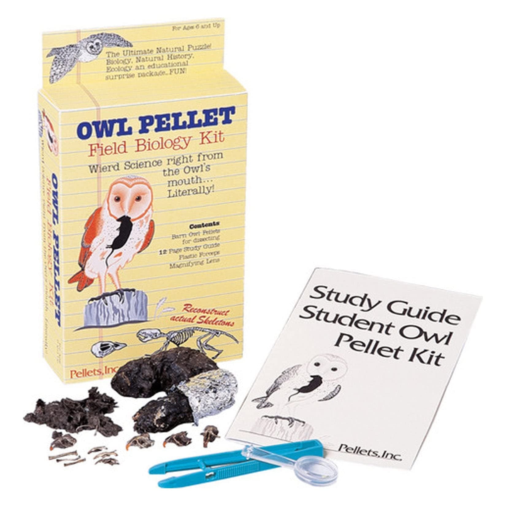 Student Owl Field Biology Flash Cards Kit