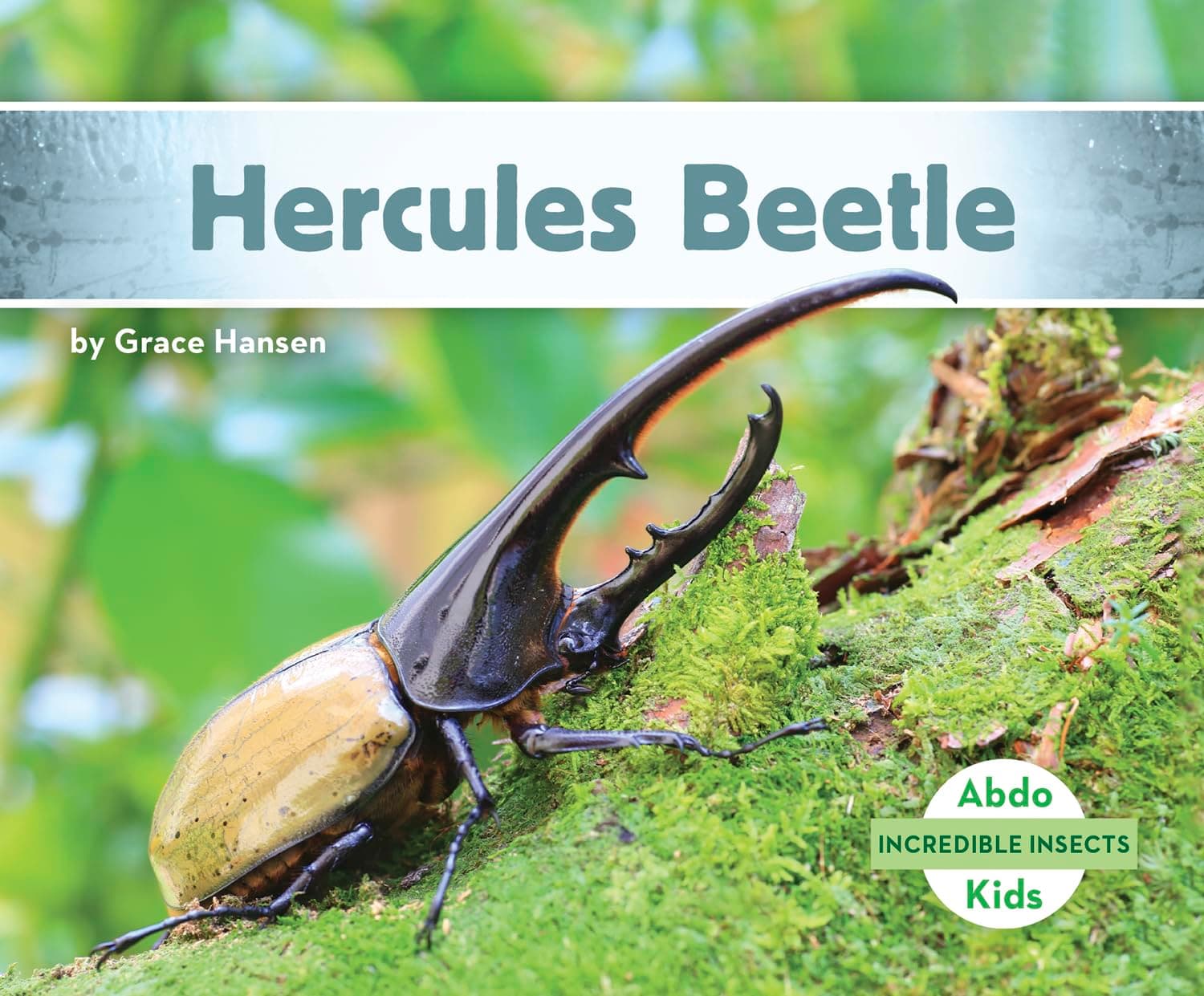 Hercules Beetle (Incredible Insects)