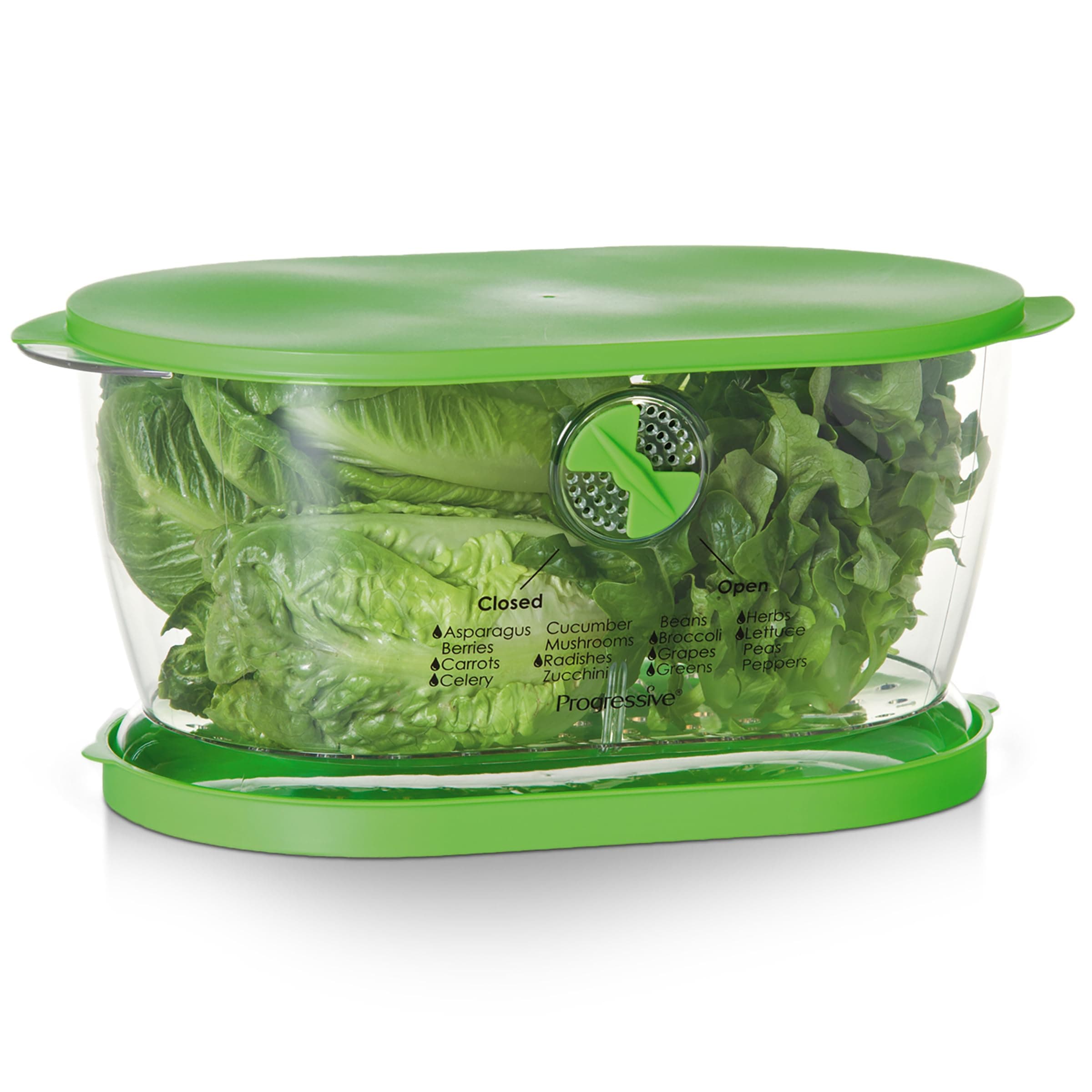 Progressive LKS-06 Prep Solutions Lettuce Keeper, Plastic, Green
