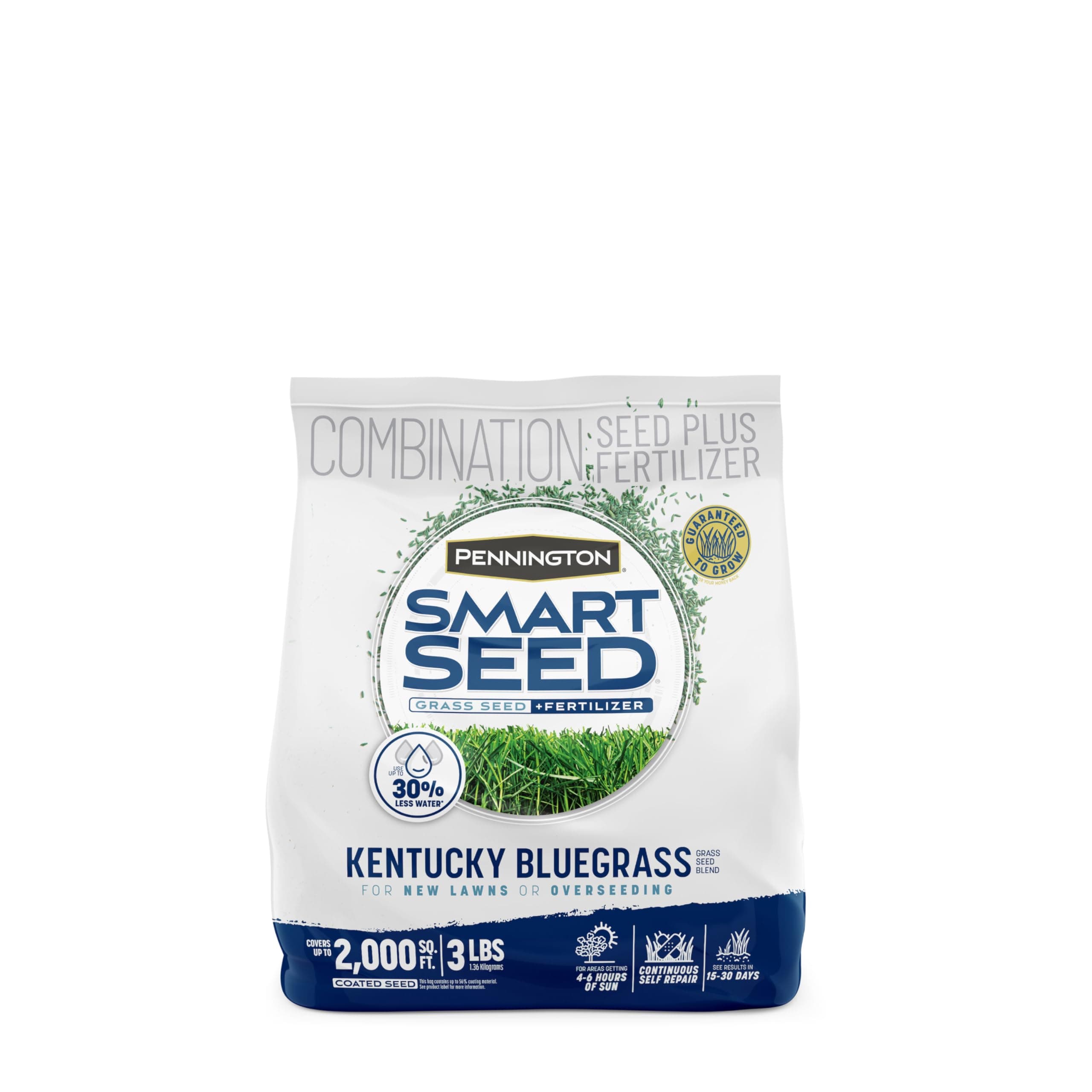 Pennington Smart Seed Kentucky Blue Grass Mix 3 lb