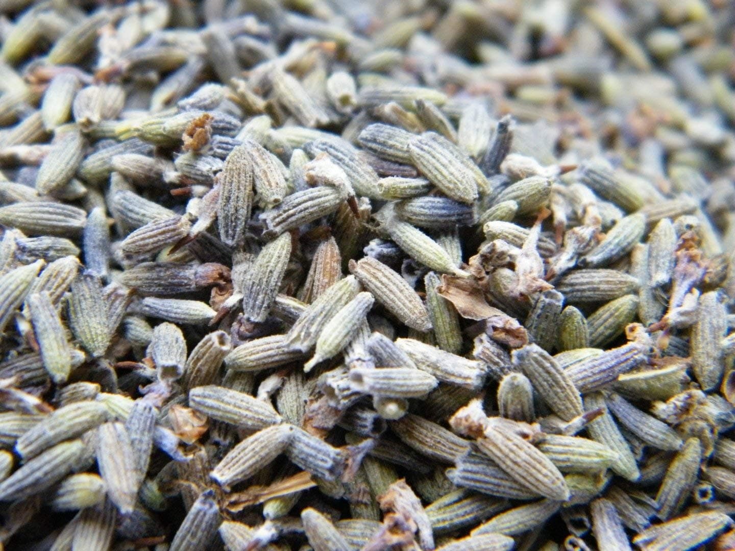 500g Dried Fragrant Lavender Beautifully Aromatic