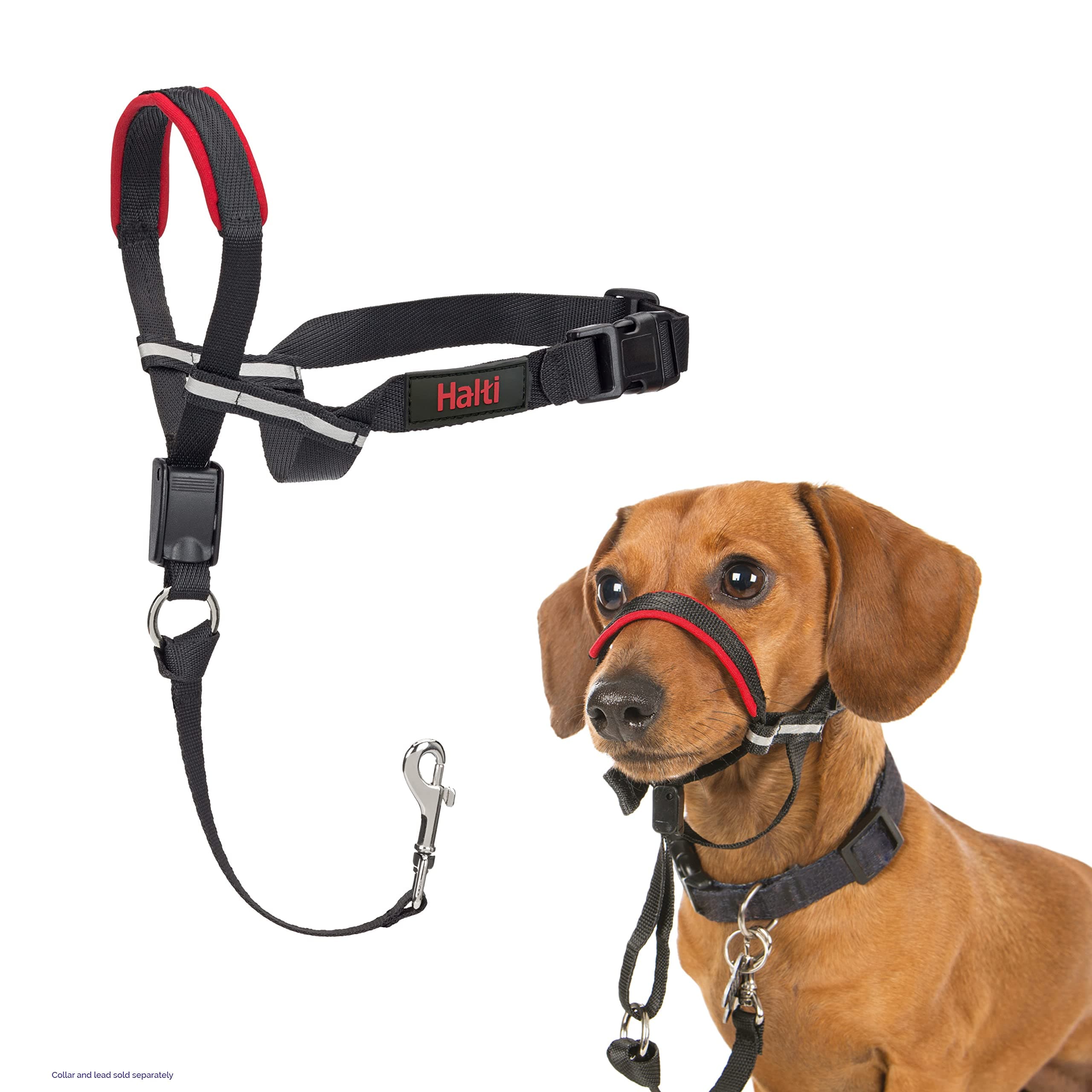 Optifit Headcollar - Stop Your Dog Pulling on the Leash. Adjustable, Reflective and Lightweight, with Padded Nose Band. Dog Training Anti-Pull Collar for Small Dogs (Size Small)