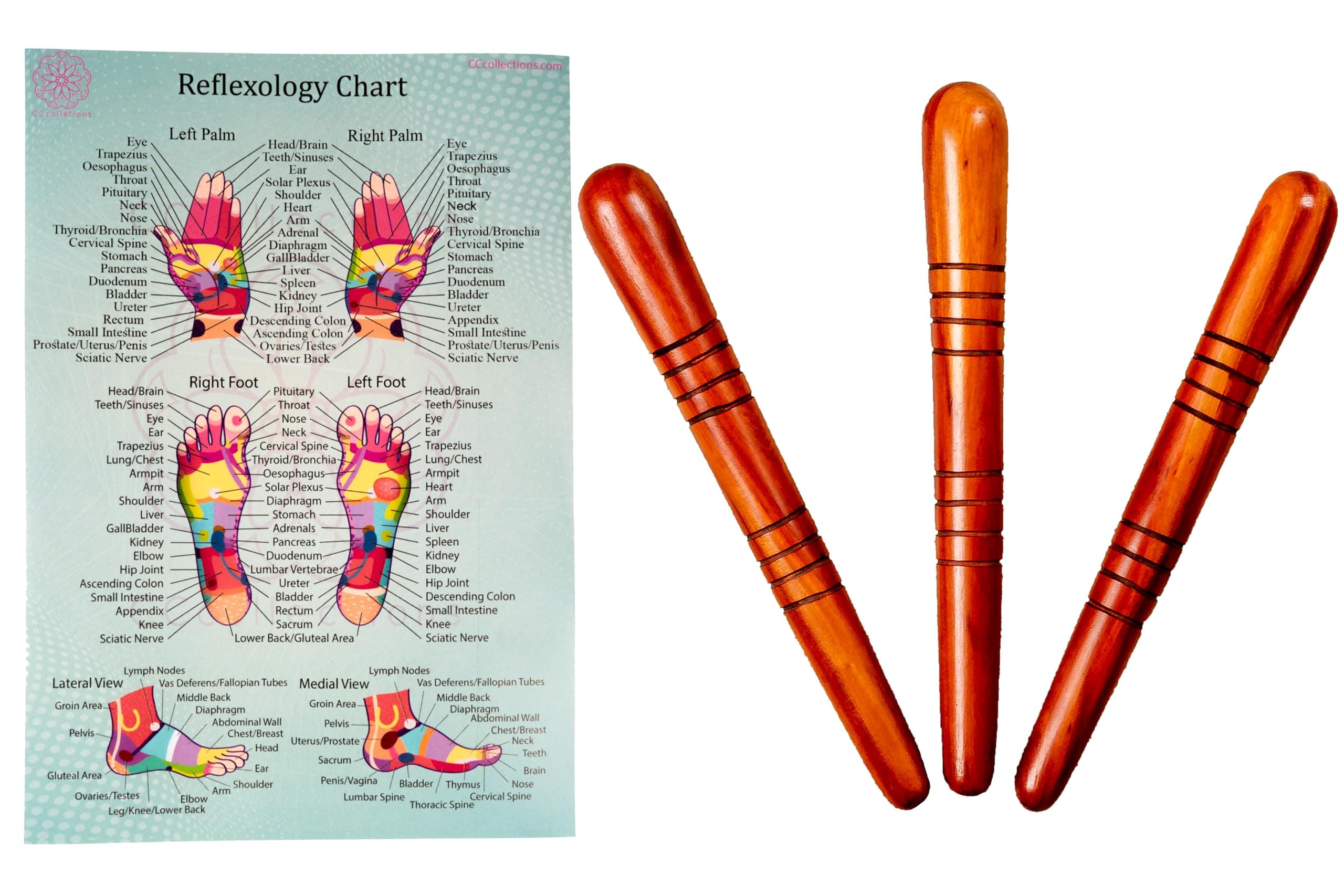 Massage toolsets with Chart for Professionals Foot Hand Massage Wooden Stick Reflexology (English, Set B)