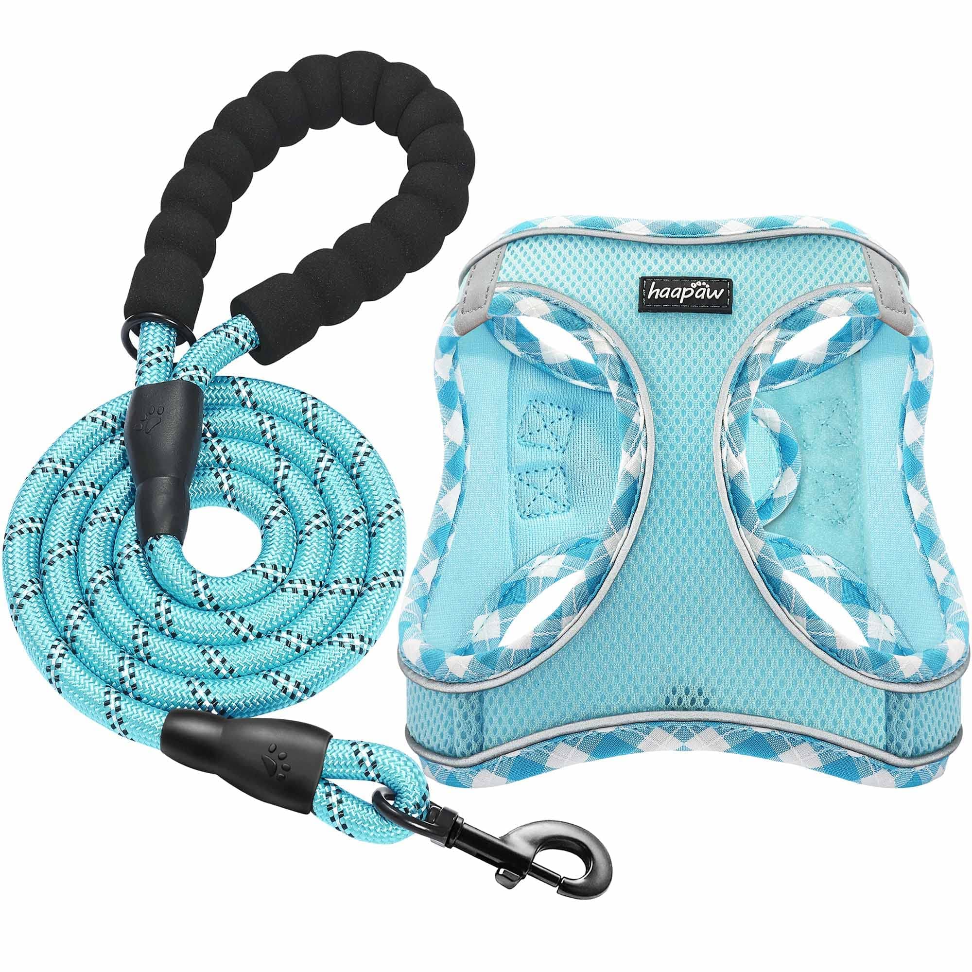 haapaw Dog Harness with Leash Set, No Pull Adjustable Reflective Step-in Puppy Harness with Thickened Padded Vest for Extra-Small/Small Medium Dogs