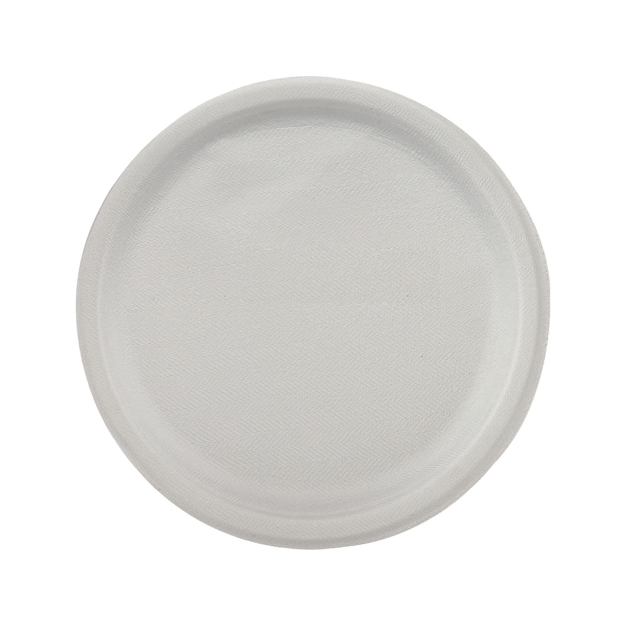 Disposable Paper Plates, Biodegradable, Eco Friendly, Leak Proof, One Time Usage, Set of 15, Off-White, 10 inch Diameter