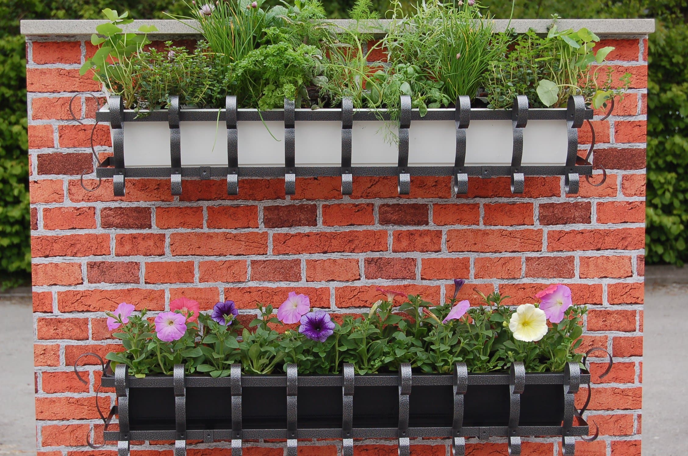 Agralan MWBB 100 cm Wall Mounted Decorative Window Box with Black Insert