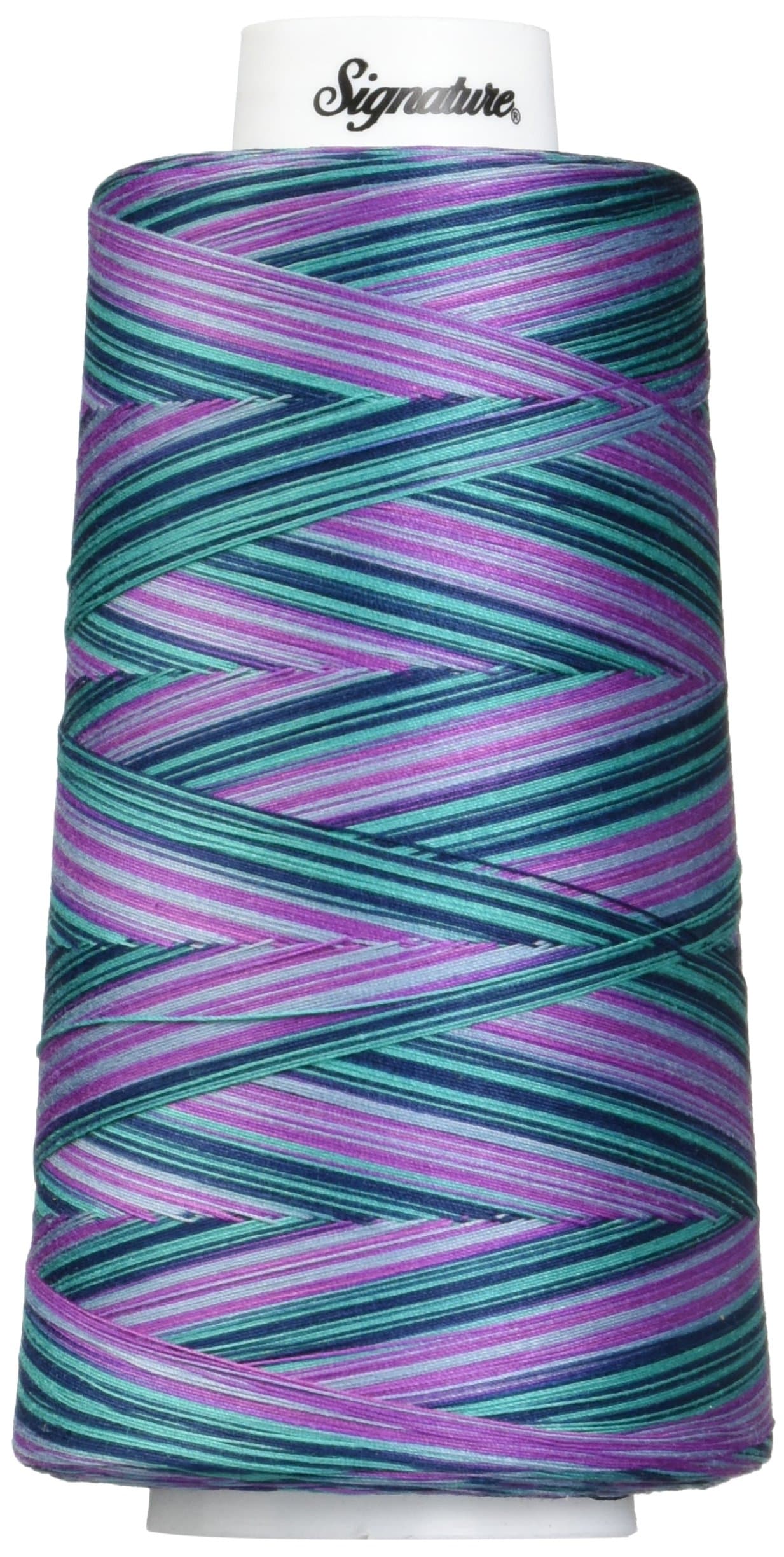 Signature Thread Machine Quilting Thread, 3000 yd, Variegated Garden