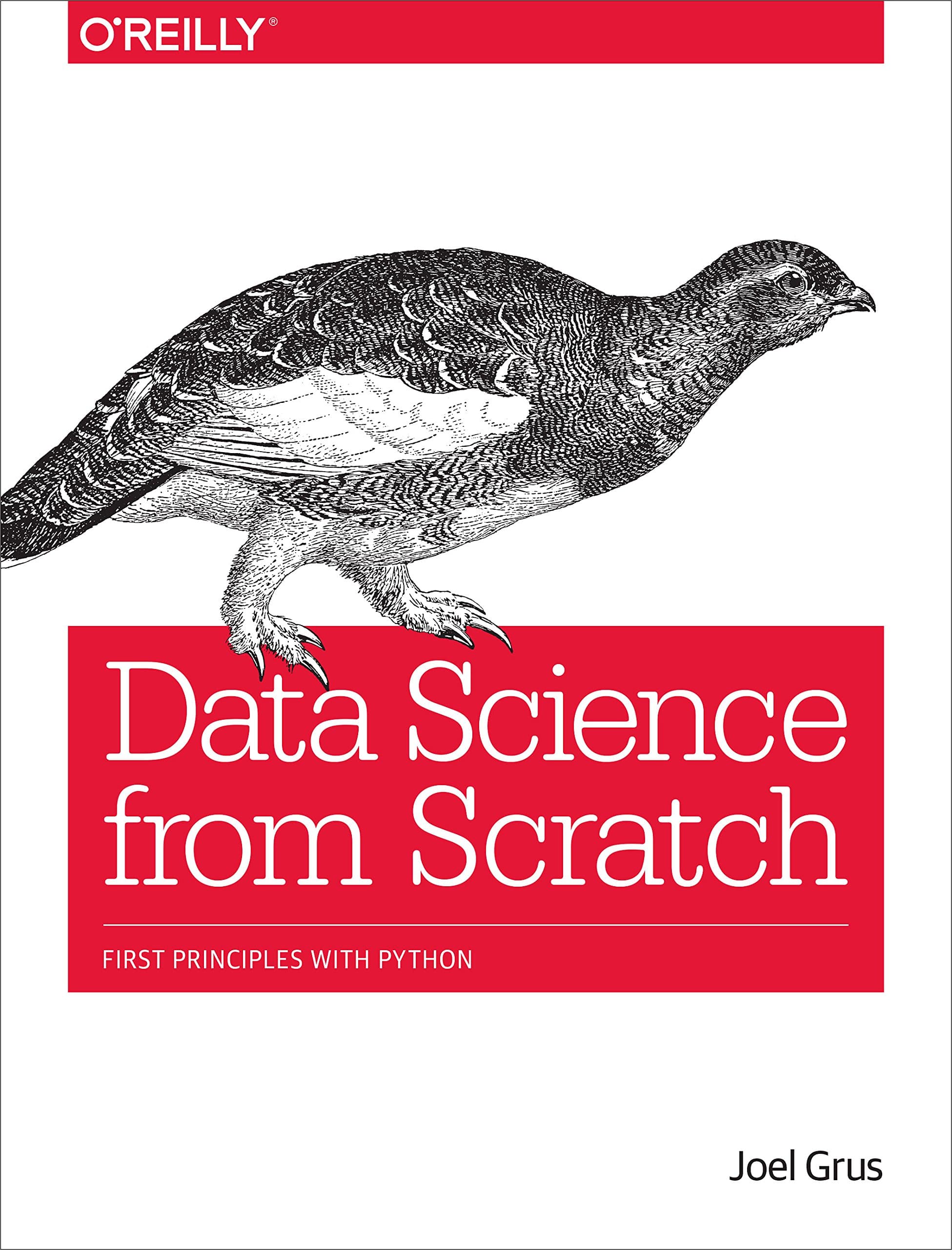 Data Science from Scratch Paperback – 1 May 2015