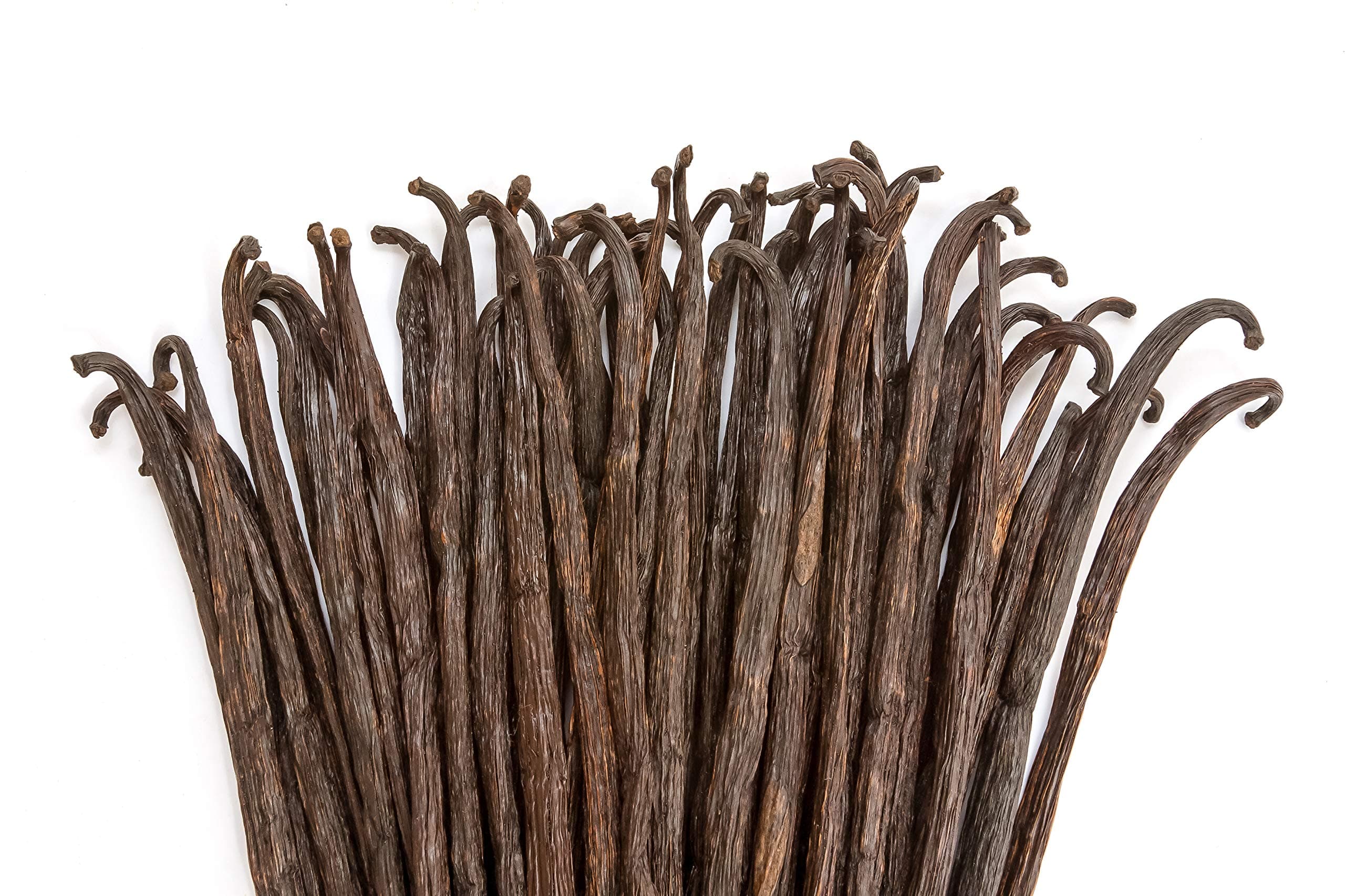 1 LB Vanilla Beans - Whole Extract Grade B Pods for Baking, Homemade Extract, Brewing, Coffee, Cooking - 16 Ounces | (Tahitian)